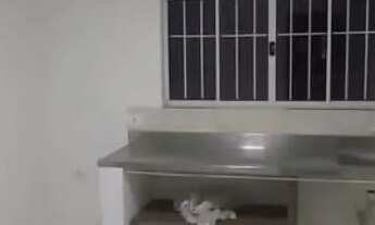 Imagem: Kitnet ( quarto cozinha e banheiro