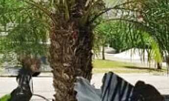 Imagem 7: Casa com 3 dormitórios à venda, 246 m² por R$ 1.990.000,00 - Condominio Alto da Floresta