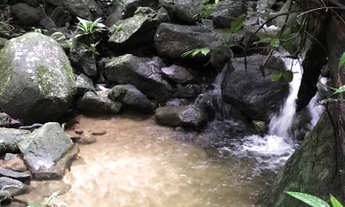 Imagem 5: Sítio na Montanha ????!!!