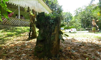 Imagem 2: Aluga se Linda Chácara anual!