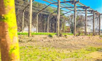 Imagem 4: Alugo area comercial com galpão - 6300m2