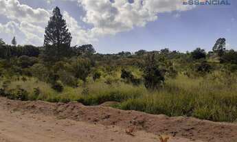 Imagem 3: Terreno à venda, 300 m² por R$ 35.000,00 - Jardim Neusa Maria (Rubião Junior) - Botucatu/S