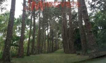 Imagem 2: Residencial - Sarapui dos Torres