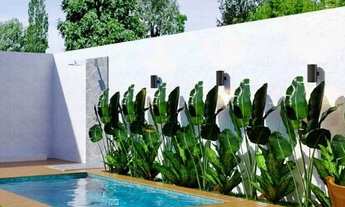 Imagem 4: Lançamento de Casas Planas no José de Alencar