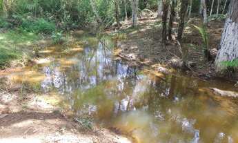 Imagem 3: Super chacrinha plaina próximo cachoeira turística 217 mil reais