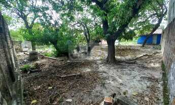 Imagem 4: Terreno à venda no bairro Henrique Jorge - Fortaleza/CE
