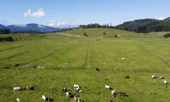 Imagem: FAZENDA - 43 HECTARES - 5 km da BR