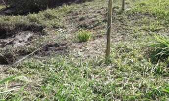 Imagem 5: Terreno à venda, 170 m² por R$ 40.000 - jardim Somar - Peruíbe/SP