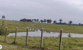 Imagem 2: 81 Alqueire pronta próx porto de Barcarena top