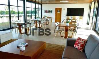 Imagem 5: Terras Alpha 2 - Terreno