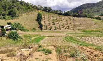 Imagem 5: Propriedade de 10 hectares com casa 3 quartos à venda no bairro Centro - Domingos Martins