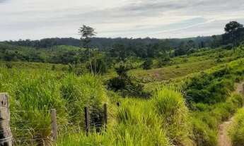 Imagem 5: Lotes formados na região de ruropolis PA dão vários lotes