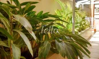 Imagem 3: Santo André - Apartamento Padrão - Vila Bastos