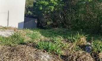 Imagem 2: Terreno Monte Verde Votorantim