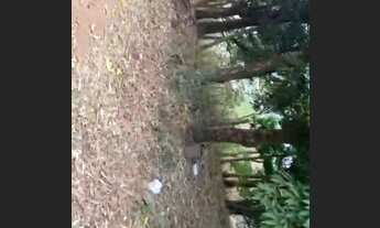 Imagem 6: Vende-se 02 terrenos urbano, próximo ao centro de Anápolis e condomínio San flower