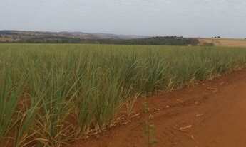 Imagem 2: 7,88 alq Brazabrantes