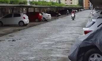 Imagem 2: Jardim Flor de Lis