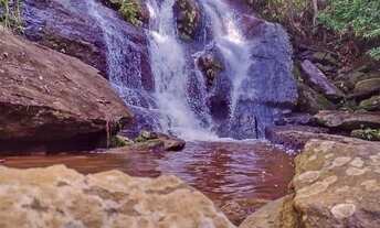 Imagem: Lote/Terreno para venda possui 1000 metros