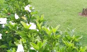 Imagem 5: Casa em Campos do Jordão com 3 dormitórios, área gourmet completa em condição imperdível