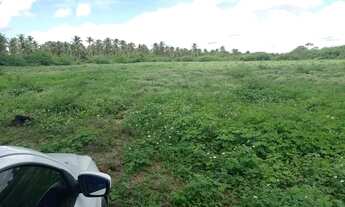 Imagem 2: Área de 29000m2, Nisia Floresta, 3 Km da Praia