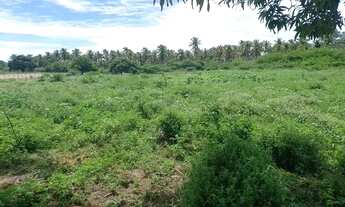 Imagem 7: Área de 29000m2, Nisia Floresta, 3 Km da Praia