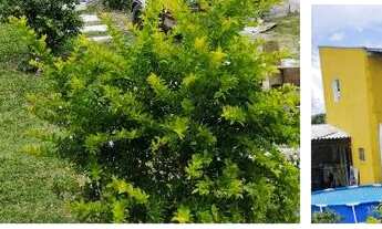 Imagem 5: Casa Casa com 2 dormitórios