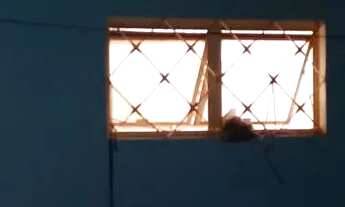 Imagem 6: Aluga-se apartamento