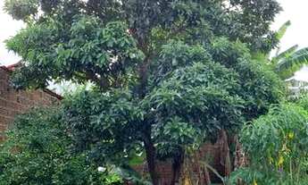 Imagem 6: CASA ( OPORTUNIDADE