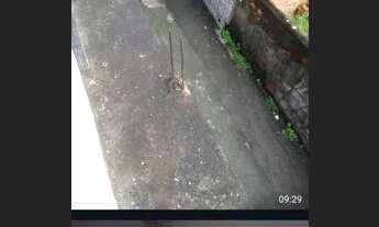 Imagem 6: Casa pra vender no arenoso