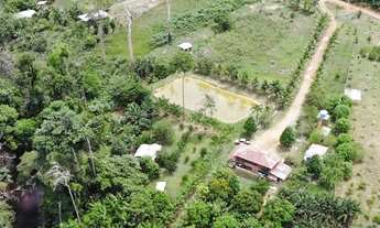 Imagem 6: Fazenda/Sítio/Chácara para venda tem 400000 metros quadrados em r - Presidente Figueiredo