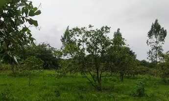 Imagem 15: Vende-se Fazenda Rio Grande / Perimetro: 3,162,32m