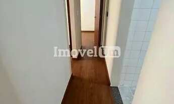 Imagem 4: Laranjeiras Apartamento com 2 dormitórios