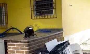 Imagem 4: Casa com 3 dorms, Caiçara, Praia Grande - R$ 480 mil, Cod: 4860