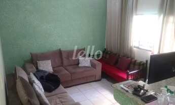 Imagem 3: São Paulo - Casa Padrão - Belém