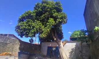 Imagem: Casa 500m2 - oswaldo cruz Ananindeua