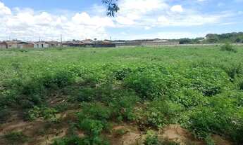 Imagem 6: Área de 29000m2, Nisia Floresta, 3 Km da Praia