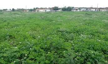 Imagem 3: Área de 29000m2, Nisia Floresta, 3 Km da Praia