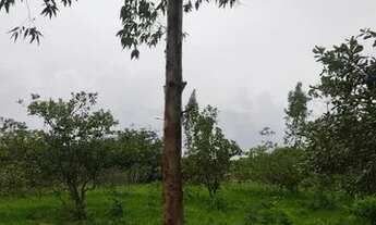 Imagem 12: Vende-se Fazenda Rio Grande / Perimetro: 3,162,32m