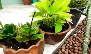 Imagem 4: Alugo quarto para mulheres Acauã Prox. UfAL e Shopping Pátio