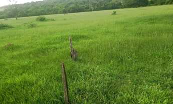 Imagem 7: Fazenda 86.6 alq em Caiapônia Goiás. 16.920.000