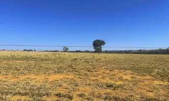 Imagem 3: Fazenda de 721 alqueires em São Miguel do Araguaia-Go