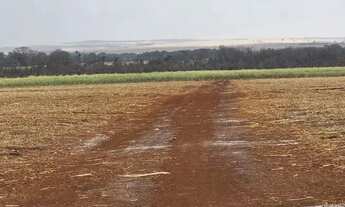 Imagem 3: Sitio em Ipuã s.p 24 alqueires 13.200.000.00 ( du