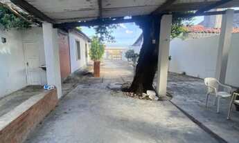 Imagem 3: Terreno c/ Galpão + Casa + Grande Espaço + Jardim