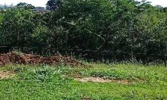 Imagem 4: TERRENO EM CONDOMINIO ALPHAVILLE