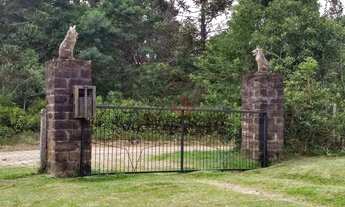 Imagem 5: Sítio à Venda em Gramado!