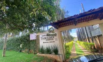 Imagem 4: Chácara à venda no bairro Setor Estrela Dalva - Goiânia/GO