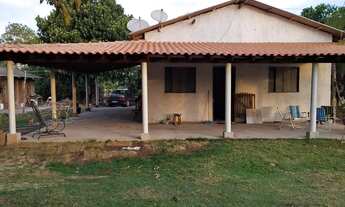 Imagem 7: Sítio excelente todo formado