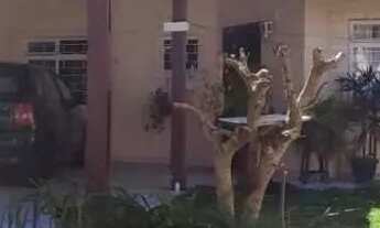 Imagem: Casa em Condomínio para Venda em Curitiba