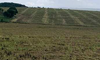 Imagem 5: Fazenda a venda em Ipameri - Goiás!!!
