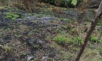 Imagem: Terreno POLIVALENTE